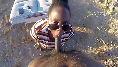 Mas gobs and aleri inserts