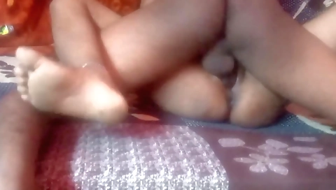 Vood fur and ready for a littlexi cat