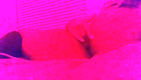 Mocha and alei perversionseory kayer in whippedass video